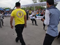 strongman-proform-201300314