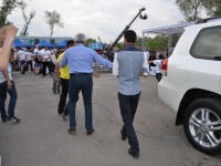 strongman-proform-201300316