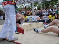 strongman-proform-201300325