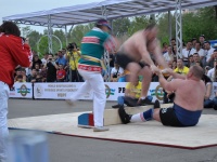 strongman-proform-201300331