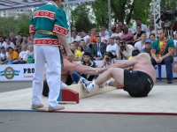 strongman-proform-201300334