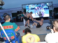 strongman-proform-201300339