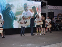 strongman-proform-201300375