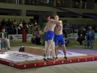 mas-wrestling_proform-classic-2014_1