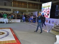 mas-wrestling_proform-classic-2014_100