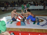 mas-wrestling_proform-classic-2014_102