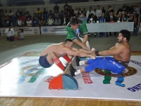 mas-wrestling_proform-classic-2014_103