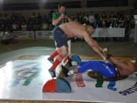 mas-wrestling_proform-classic-2014_105