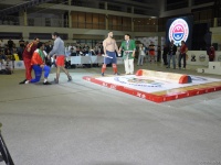 mas-wrestling_proform-classic-2014_112