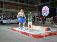 mas-wrestling_proform-classic-2014_116