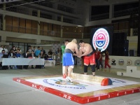 mas-wrestling_proform-classic-2014_118