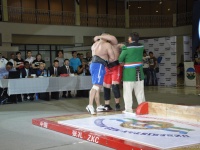 mas-wrestling_proform-classic-2014_124