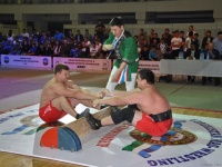 mas-wrestling_proform-classic-2014_29
