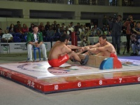 mas-wrestling_proform-classic-2014_3