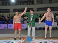 mas-wrestling_proform-classic-2014_56