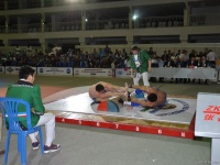 mas-wrestling_proform-classic-2014_73