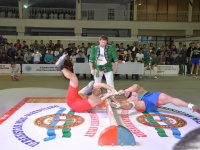 mas-wrestling_proform-classic-2014_86