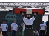 strongman_proform_2015_096