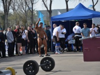 strongman-201200087