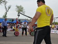 strongman-proform-201300180