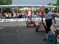 strongman-proform-201300194