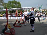 strongman-proform-201300200