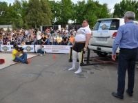 strongman-proform-201300242