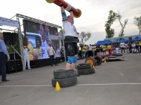 strongman-proform-201300280