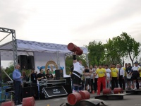 strongman-proform-201300291