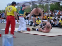 strongman-proform-201300332