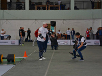 proform_classic_strongman_world_cup-2017_046