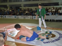 mas-wrestling_proform-classic-2014_22