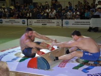 mas-wrestling_proform-classic-2014_25