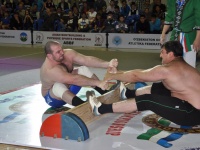 mas-wrestling_proform-classic-2014_35