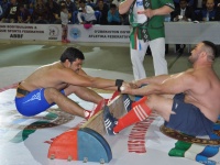 mas-wrestling_proform-classic-2014_67